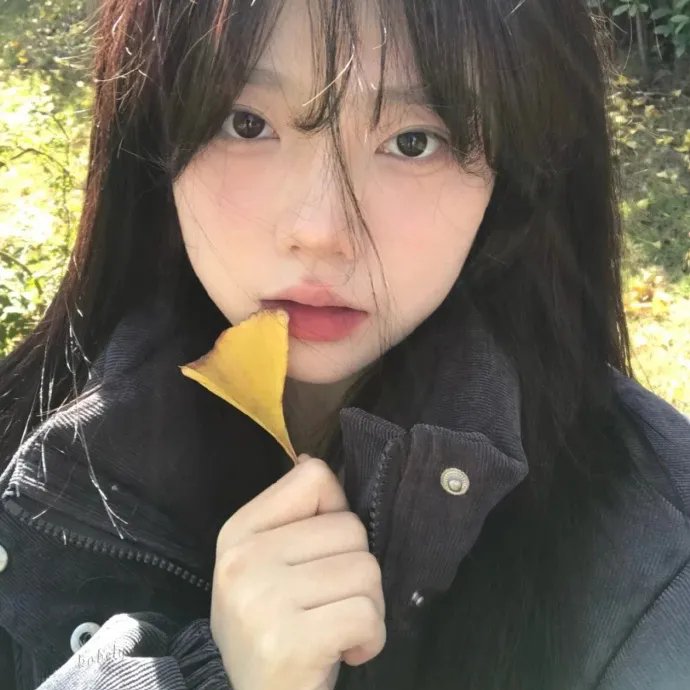 雨族